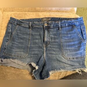 Torrid Blue Denim Jeans